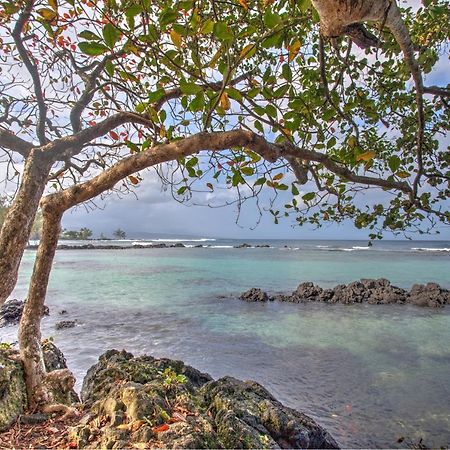 Hale Ki'I Maka Manu Home Keaau Luaran gambar