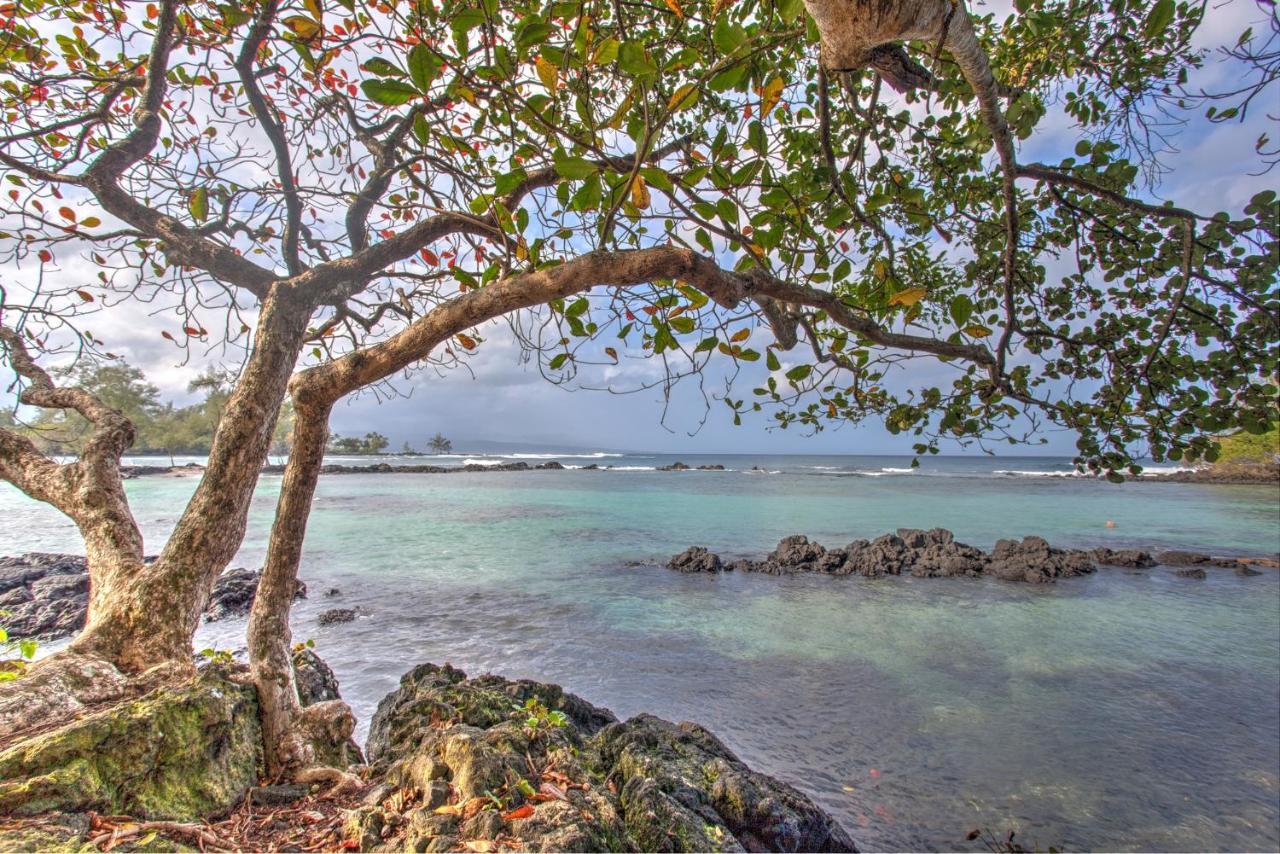 Hale Ki'I Maka Manu Home Keaau Luaran gambar