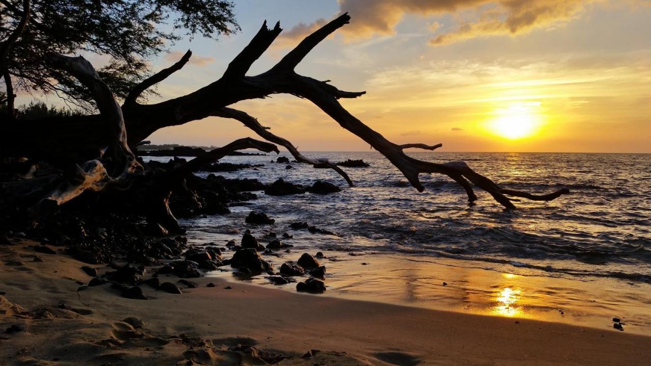 Hale Ki'I Maka Manu Home Keaau Luaran gambar