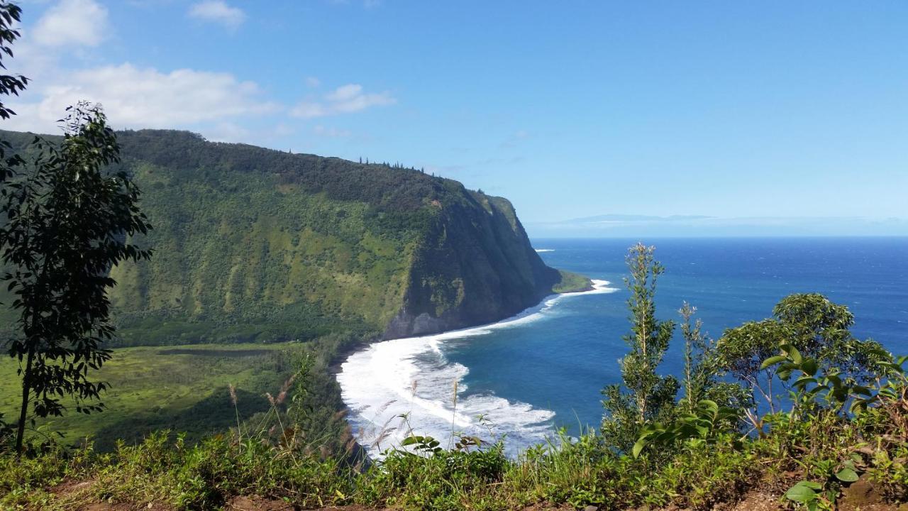 Hale Ki'I Maka Manu Home Keaau Luaran gambar