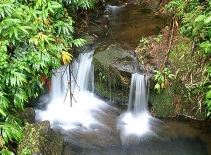 Hale Ki'I Maka Manu Home Keaau Luaran gambar