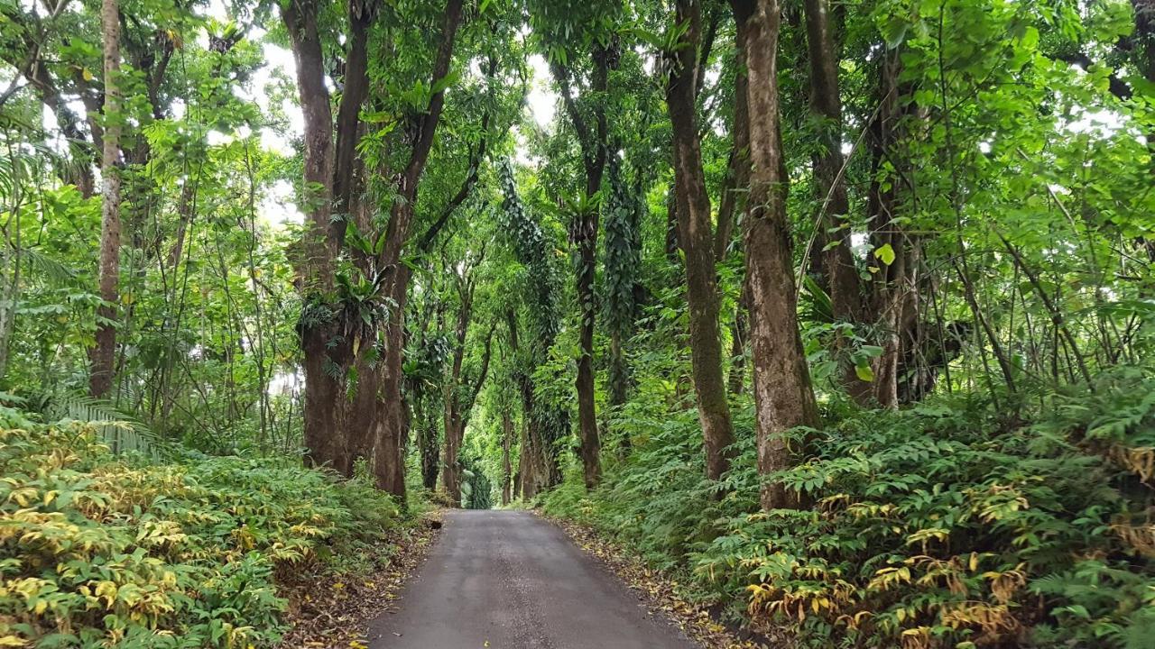 Hale Ki'I Maka Manu Home Keaau Luaran gambar